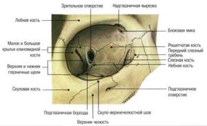 Перелом глазницы (орбиты глаза): последствия