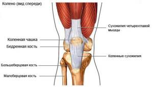 Вывих коленного сустава: лечение в домашних условиях