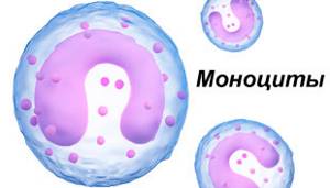 Моноциты: норма, повышены, понижены, причины
