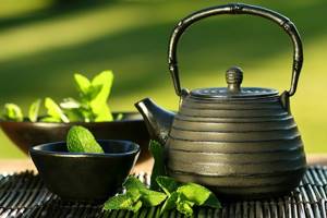 Зеленый чай при беременности скорее вреден, чем полезен