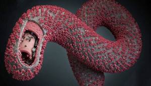 Лихорадка Эбола: симптомы, пути заражения, профилактика