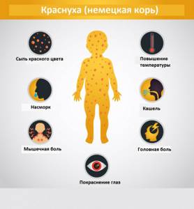 Краснуха у детей: симптомы, диагностика, лечение, вакцинация