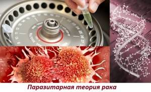 Лекарство против паразитов способно победить рак