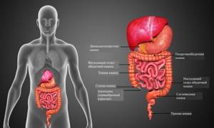 Рак кишечника: симптомы, причины, диагностика, лечение, прогноз