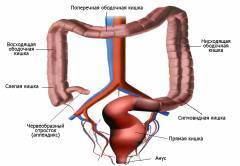 Ирригоскопия кишечника: как подготовиться, как проводится, кому показана