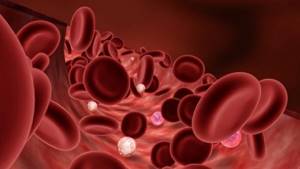 Эритроциты в крови: норма у детей, женщин, причины повышенного и пониженного проказателя
