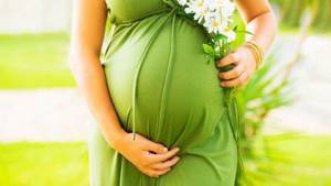Фитолизин: инструкция по применению при цистите, беременности, камнях в почках