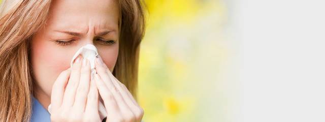 Аллергия на тополиный пух - миф или весенняя неизбежность?