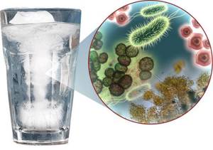 Смертельно опасные бактерии содержатся в водопроводной воде