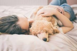 Разрешать ли собаке спать вместе с вами?