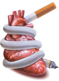 Вред курения для организма человека, женщины, пассивного курения на детей