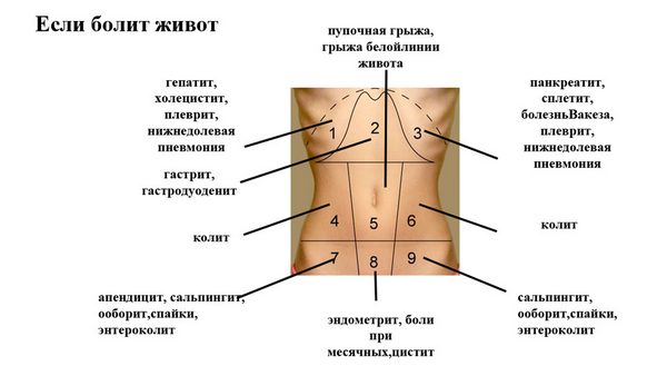 Острая боль в животе: причины, слева, справа, первая помощь, что делать при остром животе, поносе, резких болях