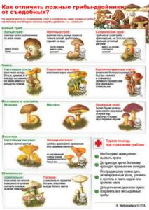 Отравление грибами, ядовитыми растениями: симптомы, первая помощь, признаки, лечение