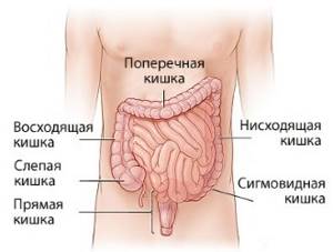 Симптомы синдрома раздраженного кишечника: лечение, причины