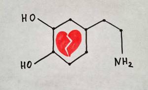 Как сдать анализ на любовь? Не инвазивный метод определения дофамина в мозге