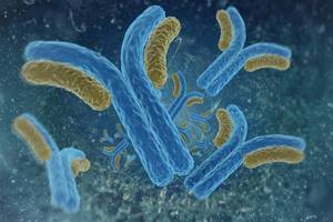 Лихорадка Эбола: симптомы, пути заражения, профилактика
