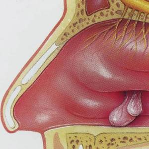 Удаление полипов в носу: все возможные методы оперативного лечения