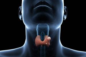 Симптомы и диагностика заболеваний щитовидной железы