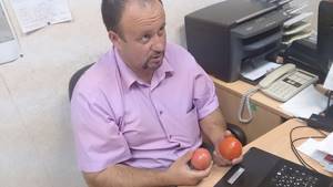 Опаснейшие канцерогены, вызывающие рак, обнаружены в помидорах, огурцах, выращиваемых китайскими производителями на территории России