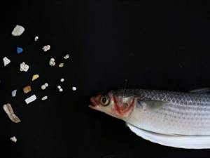 Морская соль содержит микропластик и скоро будет опасно добавлять ее в пищу