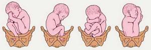 Предвестники родов у повторнородящих, первородящих, ложные схватки и признаки приближающихся родов
