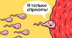 Сперматозоиды на страже здоровья женщин
