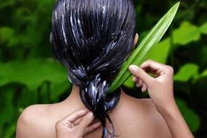 Маски от выпадения волос: рецепты укрепляющих домашних масок