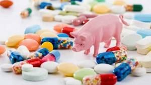Молочная продукция, свинина и птица российского производства содержат антибиотики