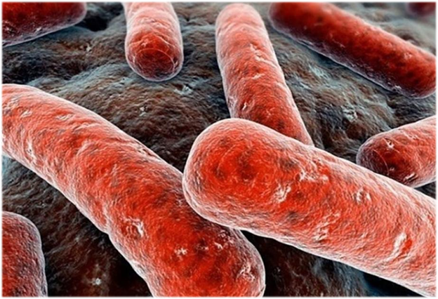 У академика МГУ обнаружена активная форма туберкулеза