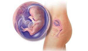 Внутриутробная инфекция у новорожденных, при беременности: причины, диагностика, лечение, последствия