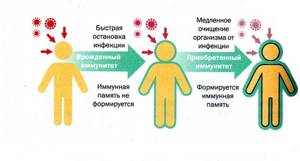 Как повысить иммунитет ребенку