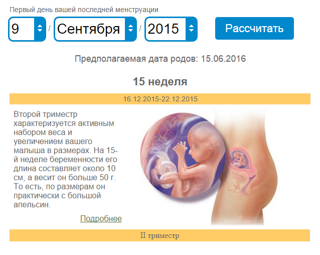 Расчет срока беременности по неделям - калькулятор, методы определения даты родов