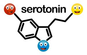 Гормоны счастья и радости: серотонин, эндорфины