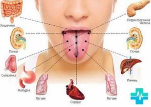 Признаки щитовидки: тайные сигналы щитовидной железы у женщин и мужчин