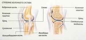Причины хруста в коленях, плечевом, тазобедренном и других суставах, при сгибании, разгибании, приседании