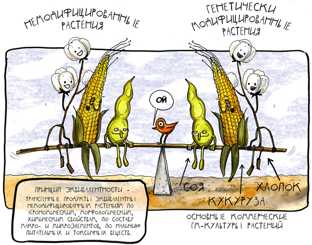 ГМО вред или польза, расшифровка, список продуктов, содержащих генетически модифицированные организмы
