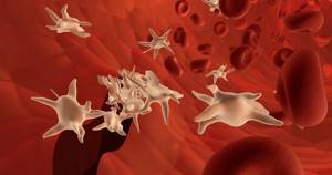 Низкие тромбоциты в крови - причины тромбоцитопении