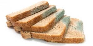 Можно ли кушать заплесневелый хлеб, обрезав испорченные части?