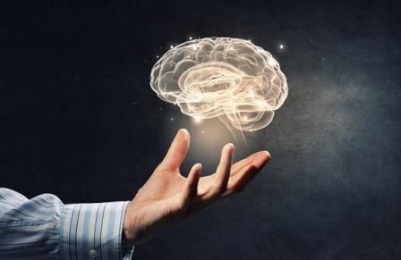 Тайна образования магнитных шариков в мозге человека